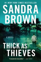 Thick as Thieves цена и информация | Фантастика, фэнтези | kaup24.ee