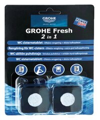 Таблетки для туалета Grohe Fresh, 2 x 50 г, 31486001 цена и информация | Скрабы | kaup24.ee