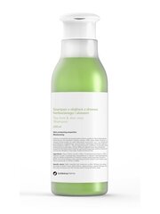 Juuste šampoon Botanicapharma Tea Tree and Aloe, 250ml цена и информация | Шампуни | kaup24.ee