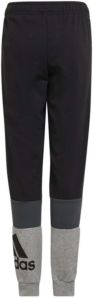 Poiste püksid Adidas U Cb Pants Black Grey HG6827 HG6827/140 hind ja info | Poiste püksid | kaup24.ee