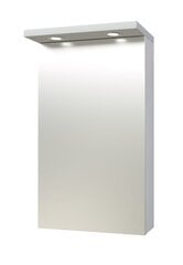 Peegelkapp Quadro/Pro 40 cm, valge hind ja info | Vannitoakapid | kaup24.ee