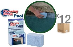 Блок для чистки плитки для бассейнов и спа CLEANING BLOCK POOL, 12 шт. цена и информация | Kasetiniai filtrai | kaup24.ee