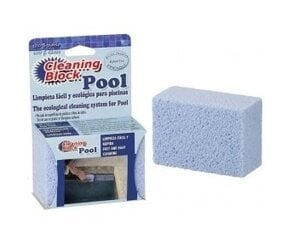 Блок для чистки плитки для бассейнов и спа CLEANING BLOCK POOL, 12 шт. цена и информация | Фильтры для бассейнов | kaup24.ee