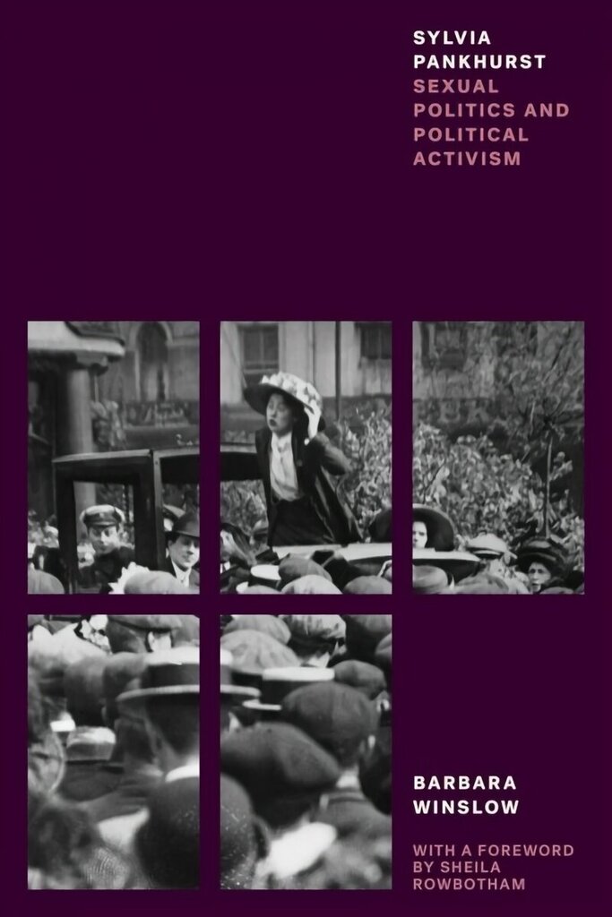 Sylvia Pankhurst: Sexual Politics and Political Activism цена и информация | Ühiskonnateemalised raamatud | kaup24.ee