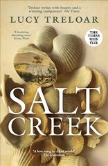 Salt Creek цена и информация | Фантастика, фэнтези | kaup24.ee