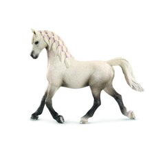 Фигурка Арабская лошадь, женск.п., Schleich цена и информация | Игрушки для мальчиков | kaup24.ee