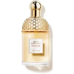 Tualettvesi Guerlain Aqua Allegoria Pamplelune EDT naistele, 125 ml цена и информация | Женские духи | kaup24.ee