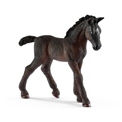 Schleich HORSE CLUB Липпицианский жеребенок цена и информация | Игрушки для мальчиков | kaup24.ee