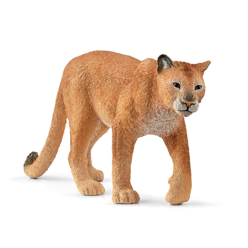 Puuma Schleich Wild Life, 1 tk. hind ja info | Poiste mänguasjad | kaup24.ee