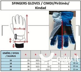 Мужские лыжные перчатки Yoclub REN-0277 цена и информация | Мужская лыжная одежда | kaup24.ee