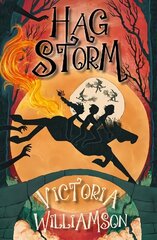 Hag Storm цена и информация | Книги для подростков и молодежи | kaup24.ee