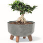 Bonsai lillepott jalgade Mini Garden ümmargune 23,5 cm, betoonist välimusega, hall, plastikust hind ja info | Dekoratiivsed lillepotid | kaup24.ee