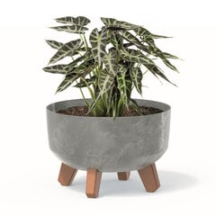 Bonsai lillepott jalgade Mini Garden ümmargune 23,5 cm, betoonist välimusega, hall, plastikust цена и информация | Вазоны | kaup24.ee