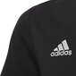 Poiste T-Särk Adidas Ent22 Tee Y Black HC0443 HC0443/164 цена и информация | Poiste särgid | kaup24.ee