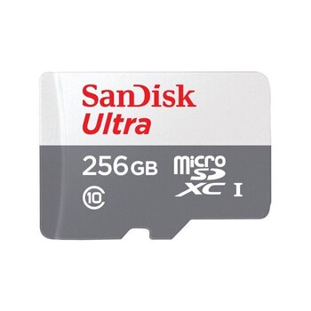 Sandisk SDXC 256GB UHS-I/SDSQUNR-256G-GN3MN цена и информация | Карты памяти | kaup24.ee