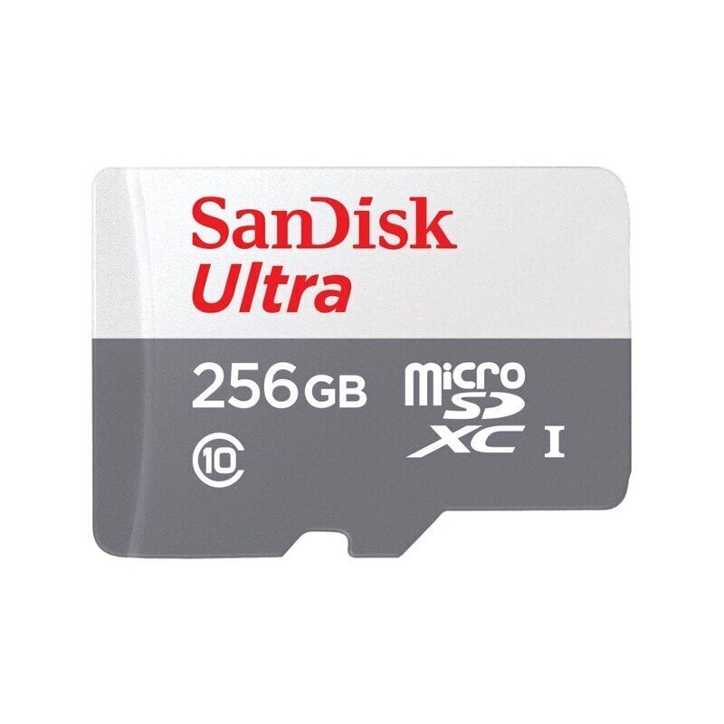 Sandisk SDXC 256GB UHS-I/SDSQUNR-256G-GN3MN цена и информация | Mobiiltelefonide mälukaardid | kaup24.ee