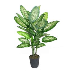 Kunstlik taim Dieffenbachia 115 cm hind ja info | Kunstlilled | kaup24.ee