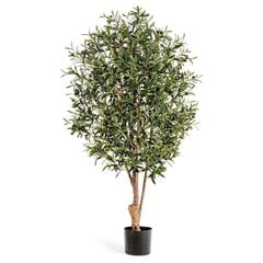 Kunstlik taim Oliivipuu 170 cm hind ja info | Kunstlilled | kaup24.ee