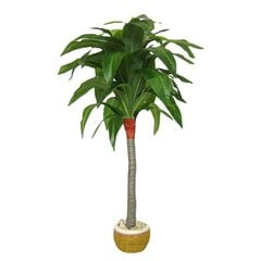 Kunstlik taim Dracaena 110 cm hind ja info | Kunstlilled | kaup24.ee