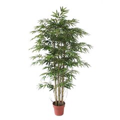 Kunstlik taim Bambuspuu 150 cm hind ja info | Kunstlilled | kaup24.ee