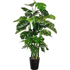 Искусственное растение Монстера, 140см цена и информация | Искусственные цветы | kaup24.ee