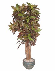 Kunstlik taim Croton 170 cm hind ja info | Kunstlilled | kaup24.ee