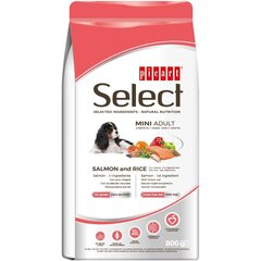 Select Mini Adult Salmon And Rice koeratoit 800g цена и информация | Сухой корм для собак | kaup24.ee