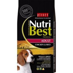 Nutribest Adult Chicken & Rice koeratoit 3kg цена и информация | Сухой корм для собак | kaup24.ee