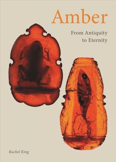 Amber: From Antiquity to Eternity hind ja info | Ühiskonnateemalised raamatud | kaup24.ee