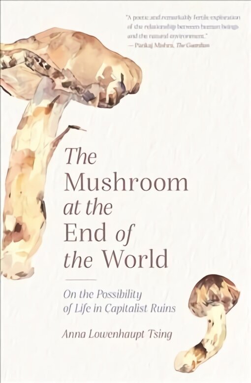 Mushroom at the End of the World: On the Possibility of Life in Capitalist Ruins цена и информация | Ühiskonnateemalised raamatud | kaup24.ee