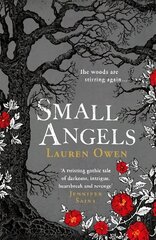 Small Angels: A 'beautifully written modern ghost story' New York Times цена и информация | Книги по социальным наукам | kaup24.ee