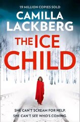 Ice Child, Book 9 цена и информация | Фантастика, фэнтези | kaup24.ee