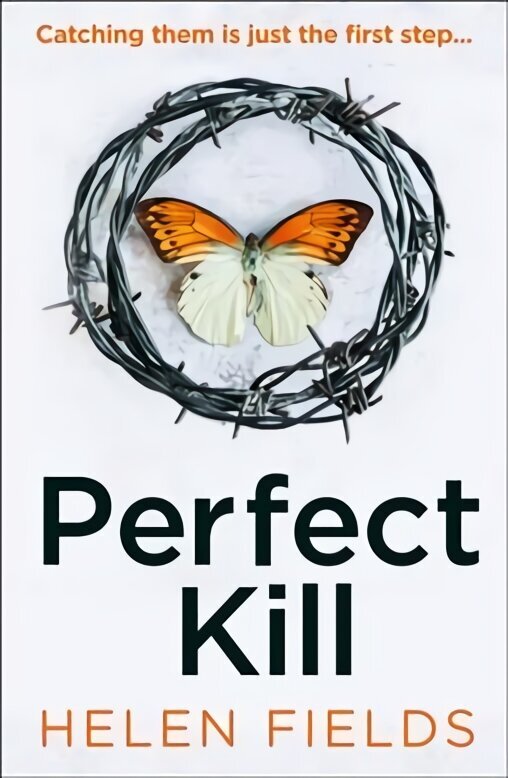 Perfect Kill цена и информация | Fantaasia, müstika | kaup24.ee