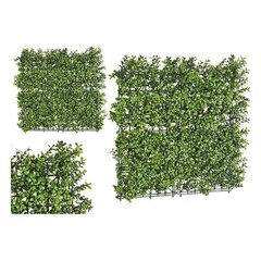 Dekoratiivne taim roheline plastmass (50 x 5 x 50 cm) hind ja info | Kunstlilled | kaup24.ee