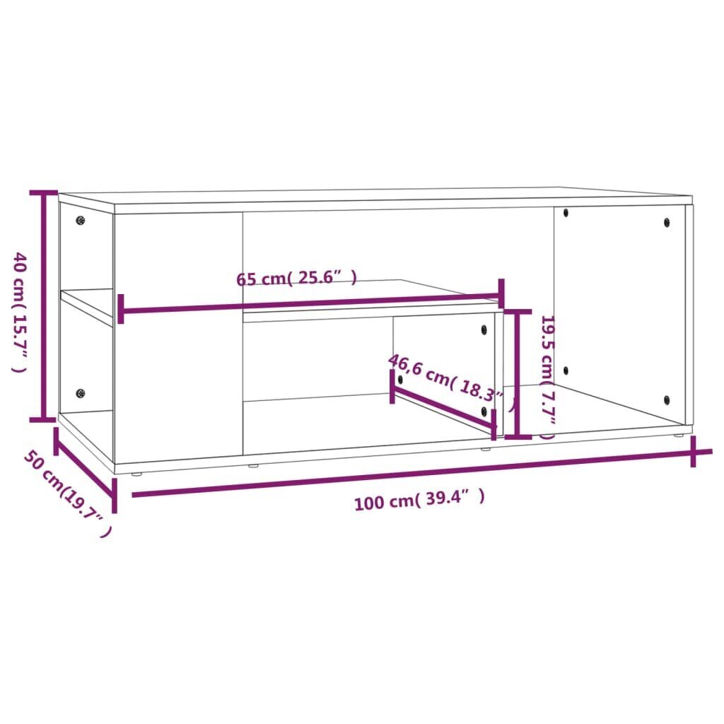 vidaXL kohvilaud, suitsutatud tamm, 100x50x40 cm, tehispuit hind ja info | Diivanilauad | kaup24.ee