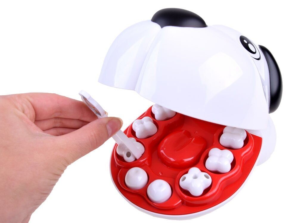 Hambaarstide komplekt kutsika raviks цена и информация | Arendavad mänguasjad | kaup24.ee