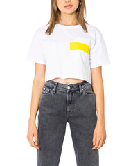 Футболка для женщин Calvin Klein Jeans, белая цена и информация | Женские футболки | kaup24.ee