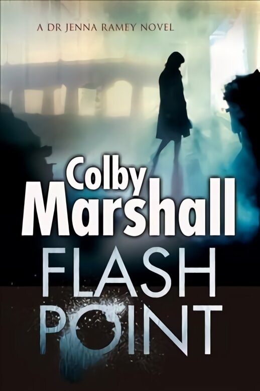 Flash Point: A Psychological Thriller Large type / large print edition hind ja info | Fantaasia, müstika | kaup24.ee