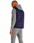 Meeste vest Le Coq Sportif hind ja info | Meeste vestid | kaup24.ee