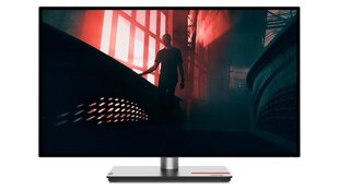 Lenovo ThinkVision P27h-30 цена и информация | Lenovo Мониторы, стойки для мониторов | kaup24.ee