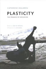 Plasticity: The Promise of Explosion цена и информация | Книги по социальным наукам | kaup24.ee