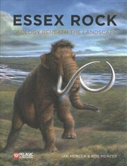 Essex Rock: Geology Beneath the Landscape hind ja info | Ühiskonnateemalised raamatud | kaup24.ee