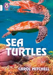 Sea Turtles: Band 10/White hind ja info | Ühiskonnateemalised raamatud | kaup24.ee