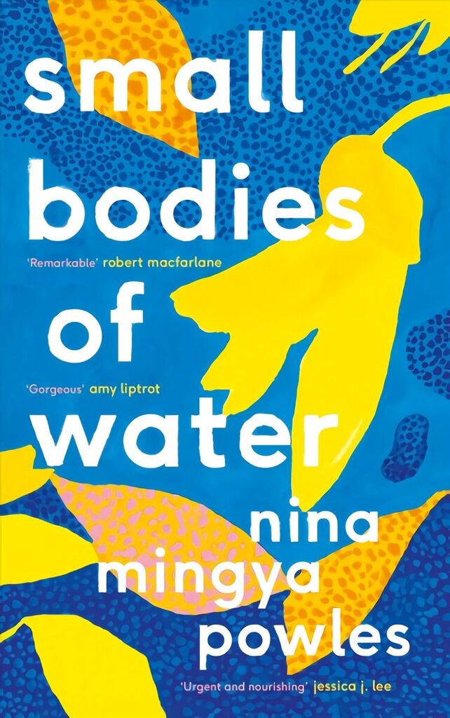 Small Bodies of Water Main цена и информация | Elulooraamatud, biograafiad, memuaarid | kaup24.ee