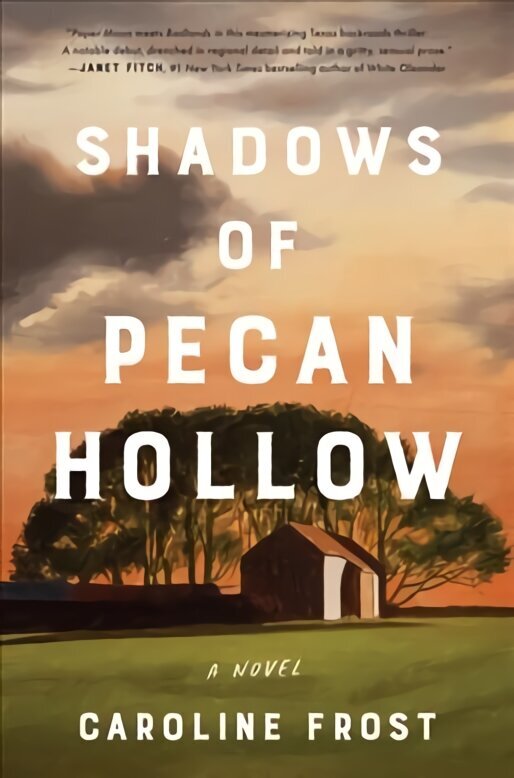 Shadows of Pecan Hollow: A Novel hind ja info | Fantaasia, müstika | kaup24.ee