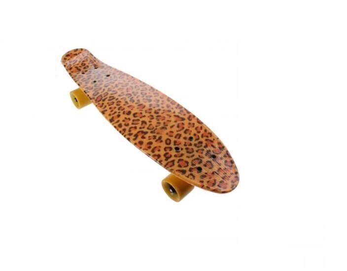 Rula Fishboard Fish No.5, 60 cm hind ja info | Rulad | kaup24.ee