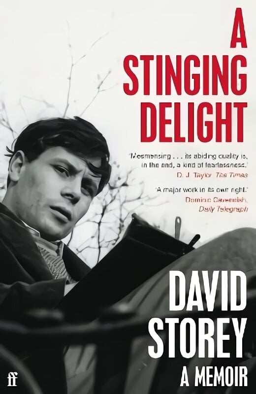 Stinging Delight: A Memoir Main hind ja info | Elulooraamatud, biograafiad, memuaarid | kaup24.ee