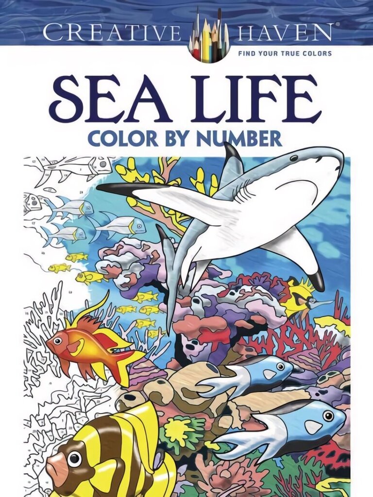 Creative Haven Sea Life Color by Number Coloring Book hind ja info | Väikelaste raamatud | kaup24.ee