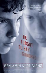 He Forgot to Say Goodbye Reprint hind ja info | Noortekirjandus | kaup24.ee