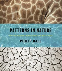Patterns in Nature: Why the Natural World Looks the Way it Does hind ja info | Tervislik eluviis ja toitumine | kaup24.ee